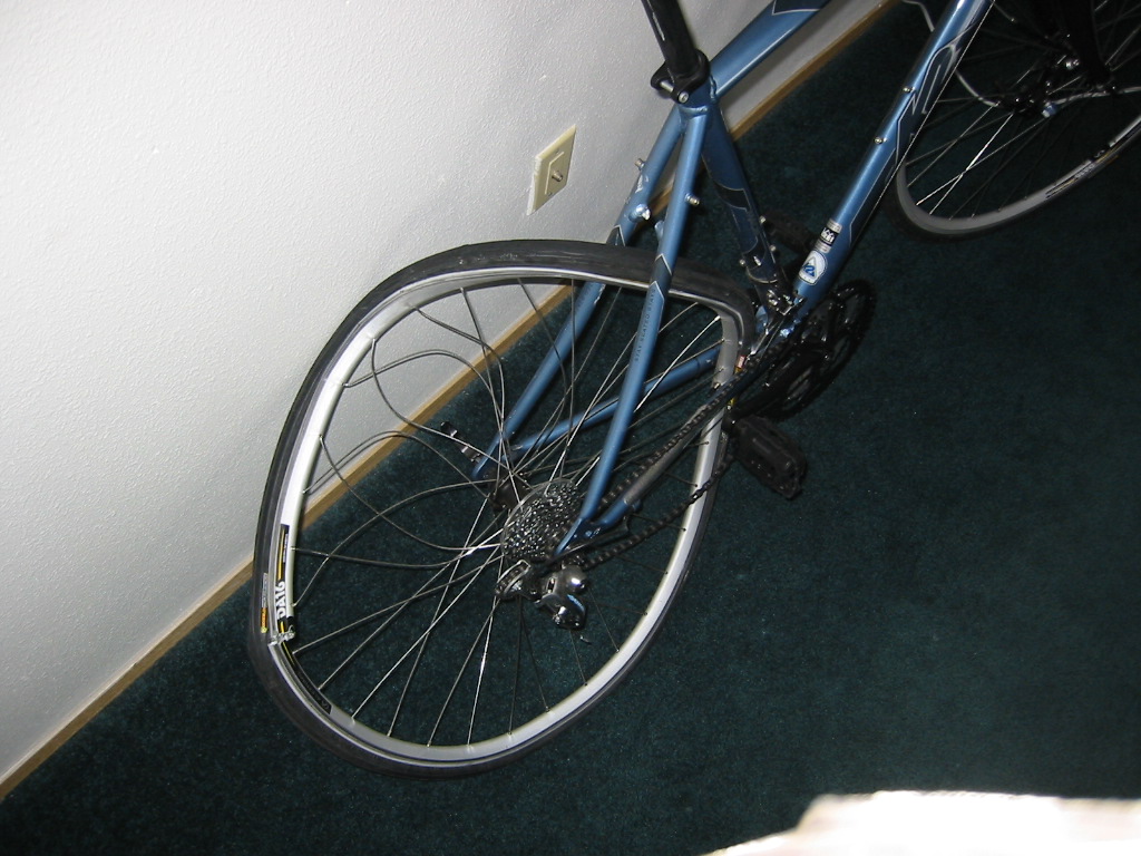 Bike v Boat 2